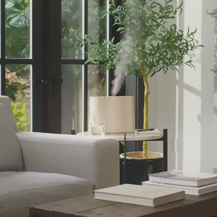 Cloud Humidifier