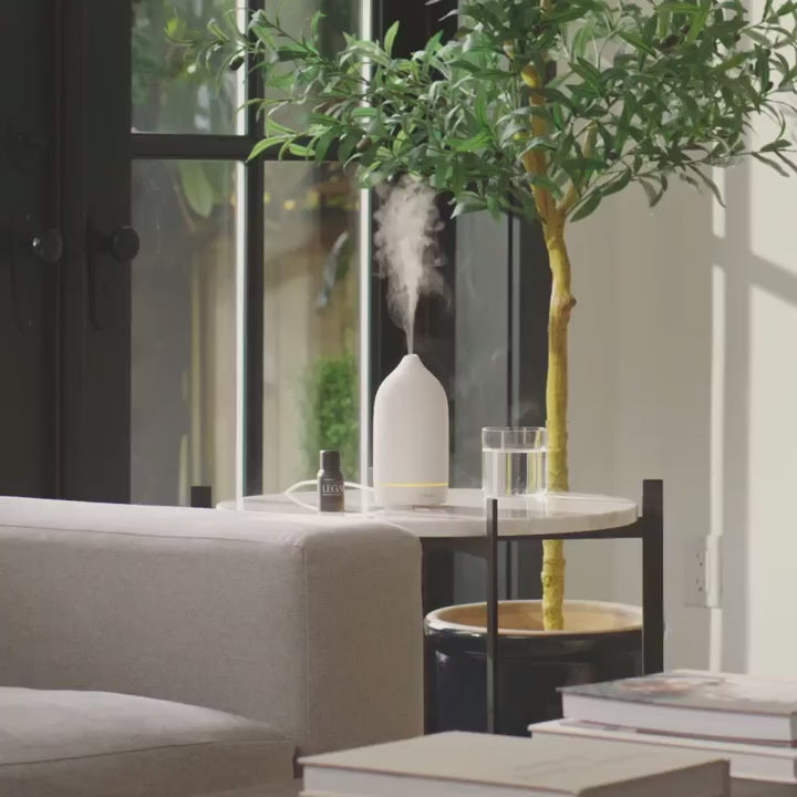 Stone Diffuser